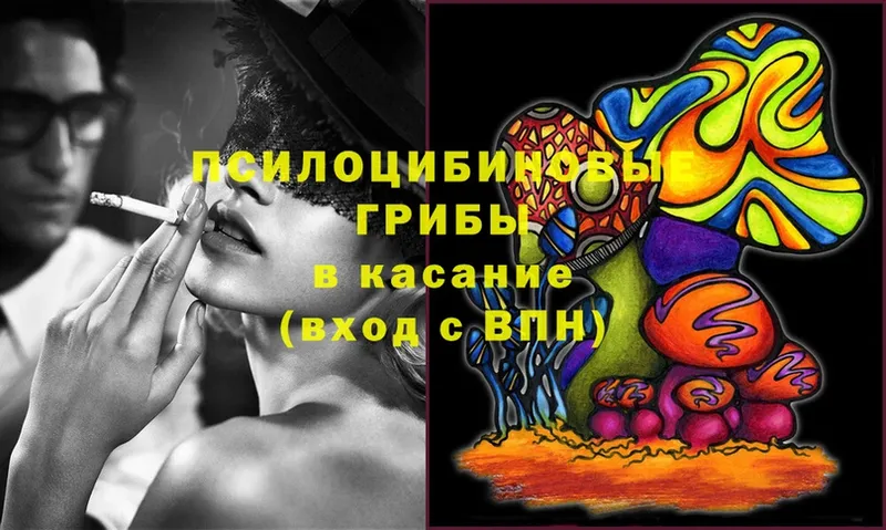 Галлюциногенные грибы Magic Shrooms  купить закладку  Ревда 